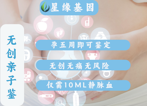 上海怀孕87天亲子鉴定：一步步的指南